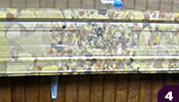 Unique color marble mantel , decorative column corners